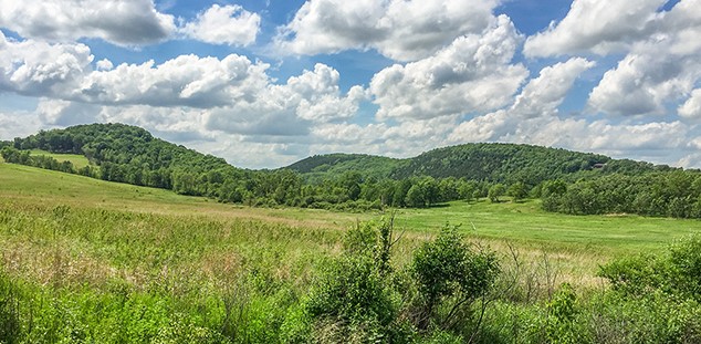 IAT lodi marsh segment-006_v2